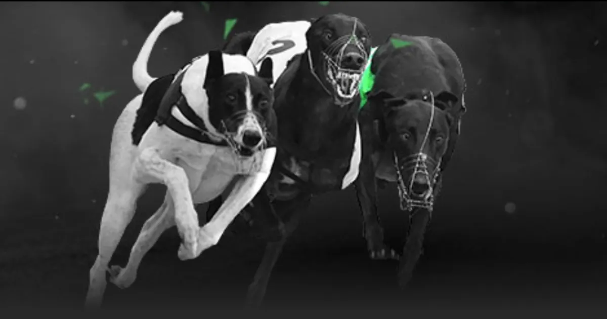 中超大反转,三镇惊险保,亚泰意外降,皇冠,Crown,皇冠官网,皇冠体育官网,皇冠体育下载,皇冠APP