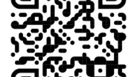 2025年大湾区青少年公益年会杯棒垒球邀请赛将于3月24日15：44正式开赛